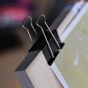 Alternative view of Clip nere